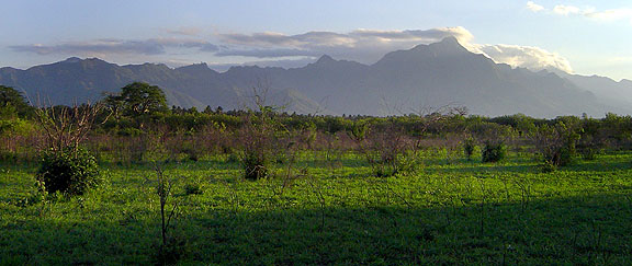 View over Mbuyni Farm in early evening, looking toward the Uluguru Mountains.