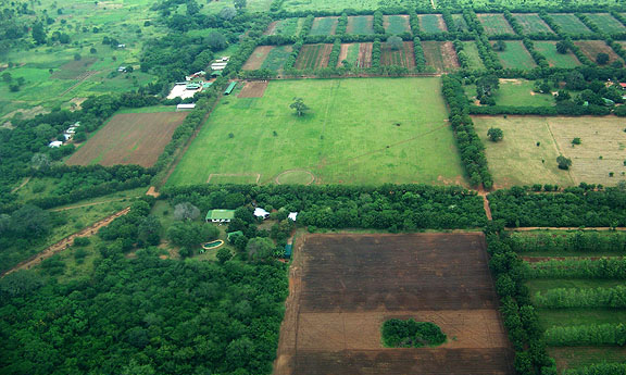 Aerial view of some fields and buildings on Mbuyuni Farm.