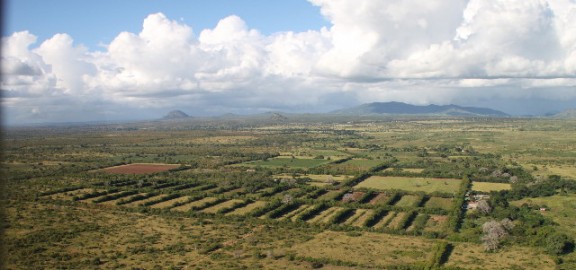 View of Mbuyuni Farm from the air